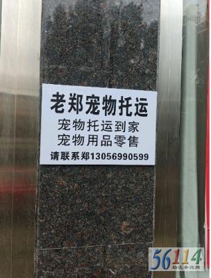 ��֣��������