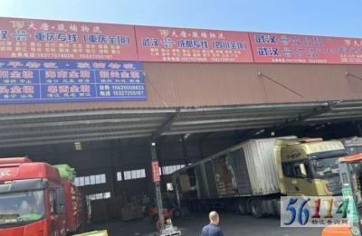 ���ơ��������