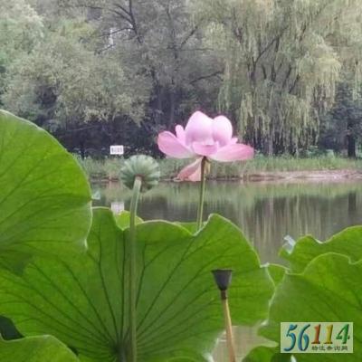 ����̩����