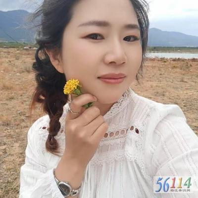 �Ű�����