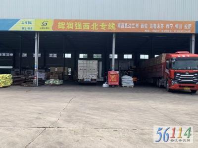 ����ǿ����